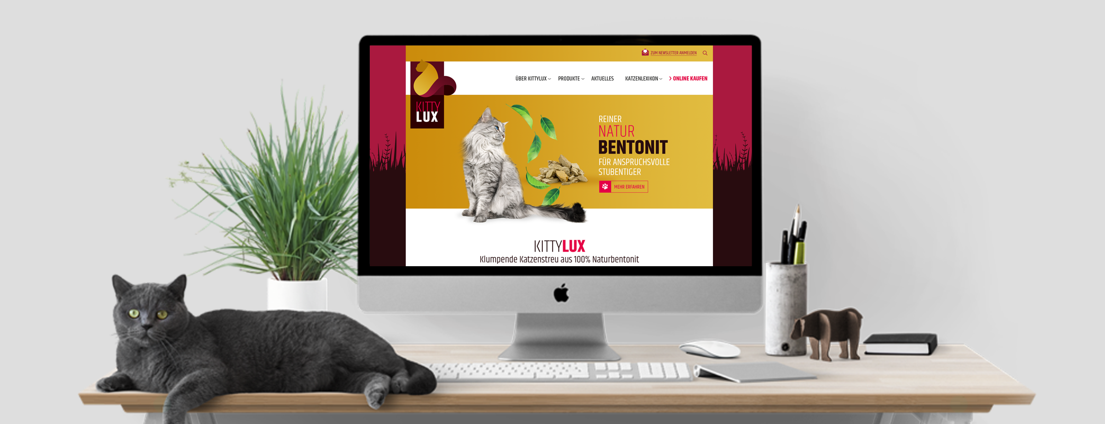 Kittylux-Website-Webdesign-Katzenstreu